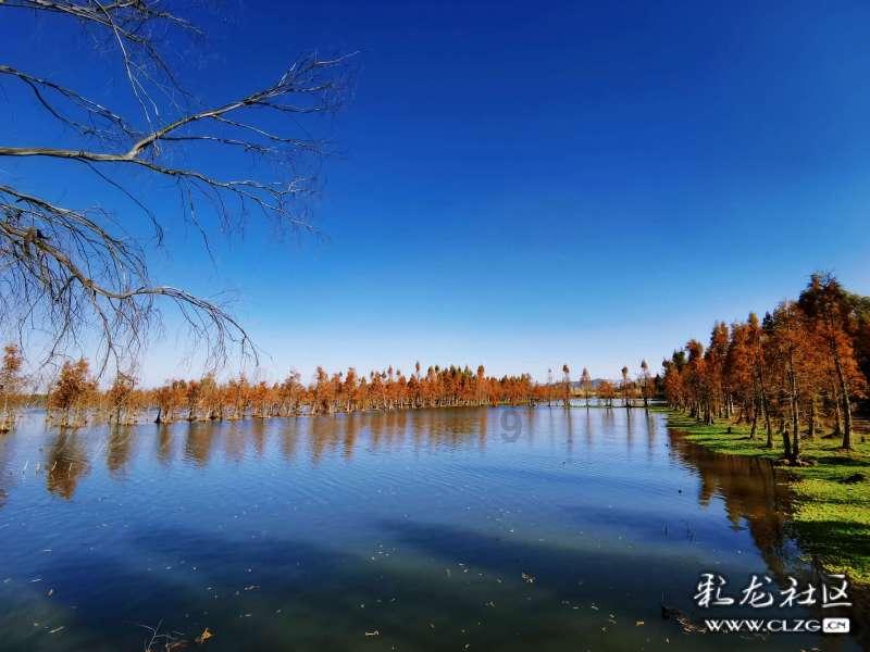 齐白石画个蜘蛛卖120万，到底值不值？游戏画面